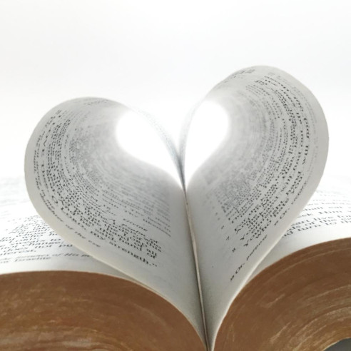 Organ hoch drei - das Herz in der Bibel