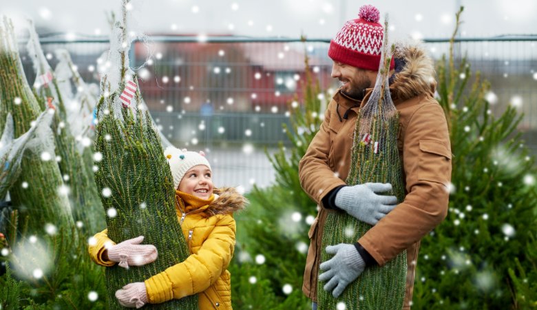 FAQ zum Christbaum