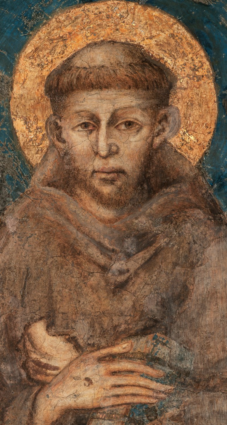 Franz von Assisi wieder entdecken