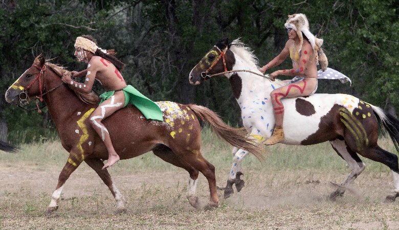 Das Fiasko am Little Bighorn