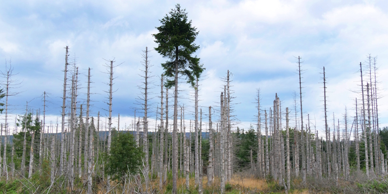 „Die Klage der Natur hören lernen“