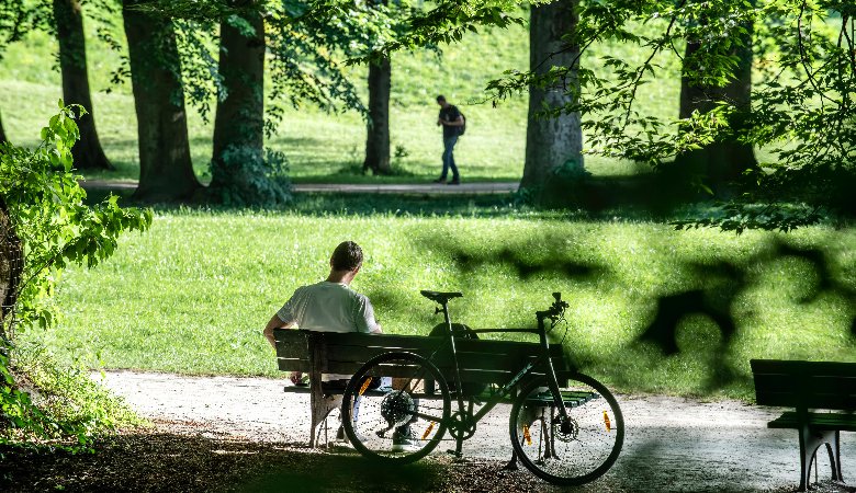 Bäume sind natürliche Klimaanlagen 