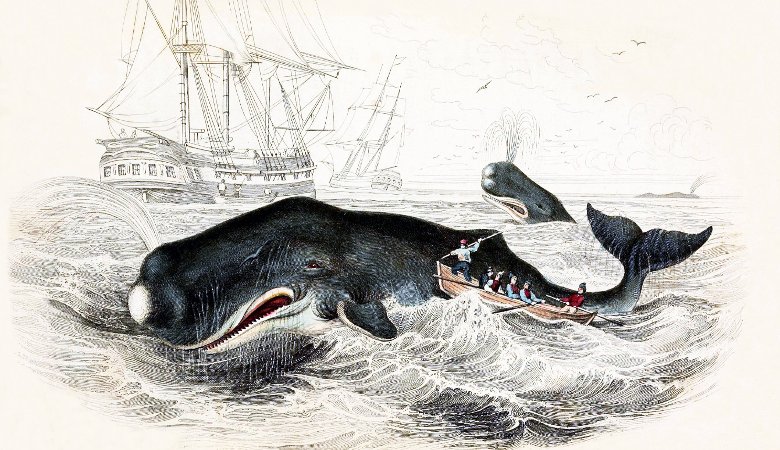 175 Jahre „Moby Dick“